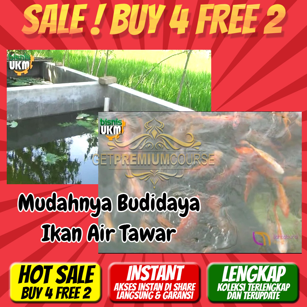 Mudahnya Budidaya Ikan Air Tawar