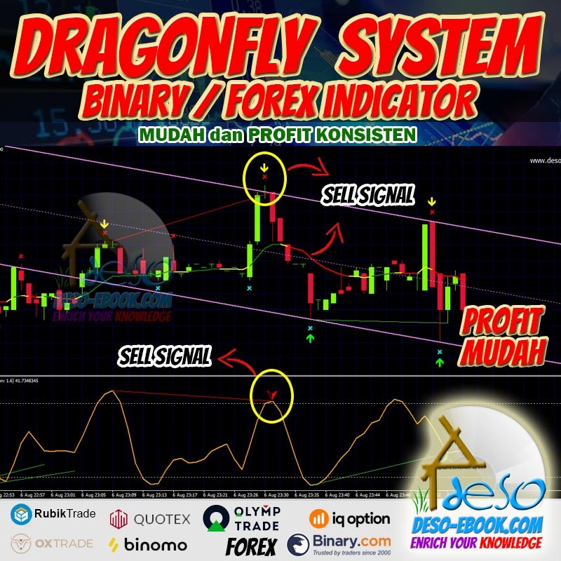 Signal Trading Dragonfly Strategy untuk Binomo. Olymptrade, IQ Option