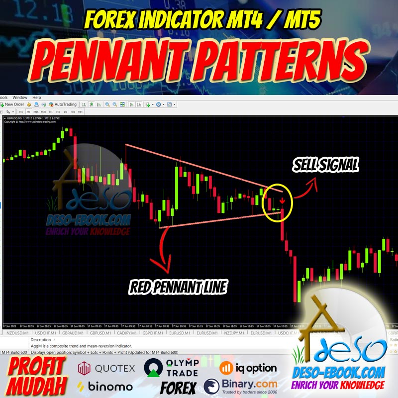 Sinyal Indikator Pennant Patterns Trading Forex, Binomo,Olymptrade,dll